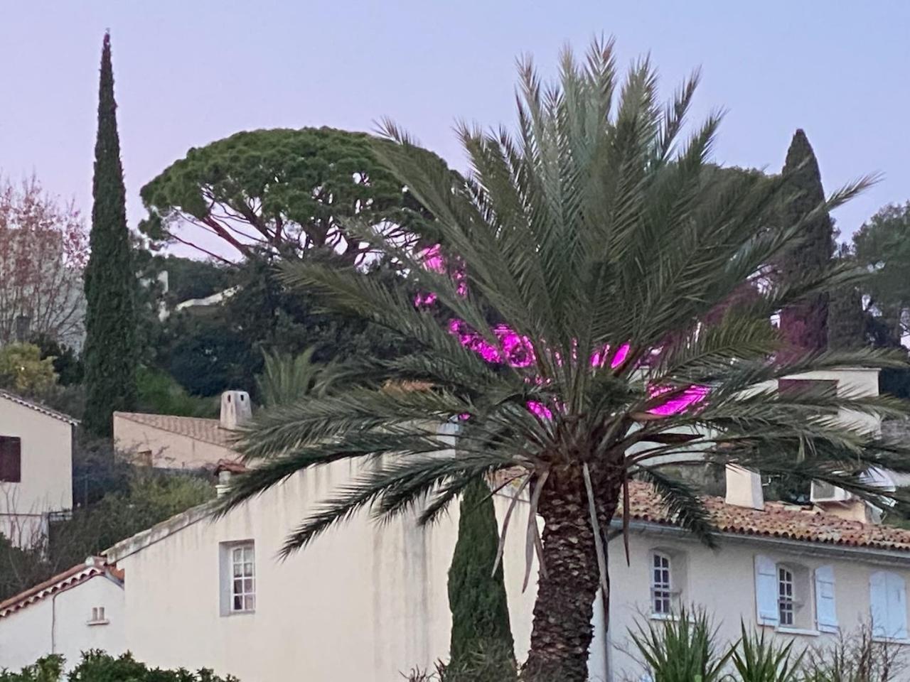 La Suite Sainte Claire Hyères Exterior foto